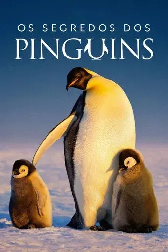 Los secretos de los pingüinos - Poster