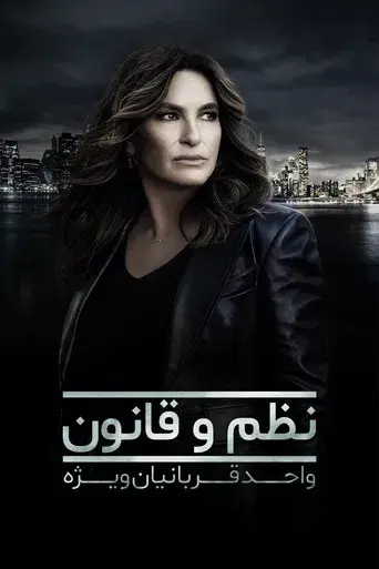 Ley y orden: Unidad de Víctimas Especiales - Poster