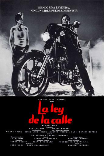 La ley de la calle - Poster