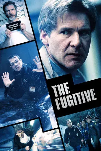 El fugitivo - Poster