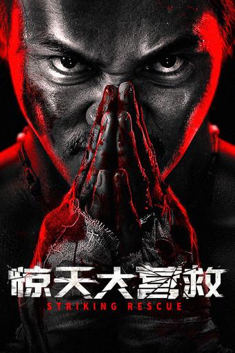 Venganza implacable - Poster