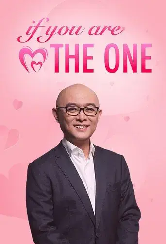 If You Are the One - Poster
