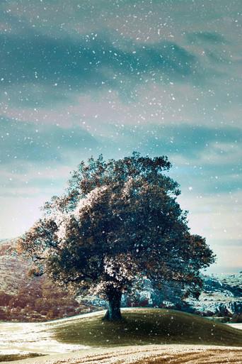 Who Do You Think You Are? poster