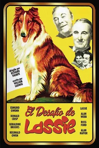El desafío de Lassie poster