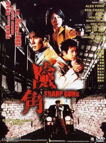 險角 poster
