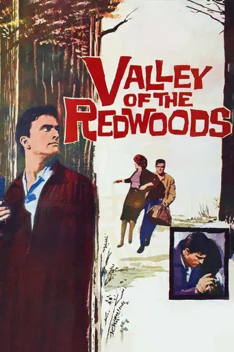 Valley of the Redwoods - Poster