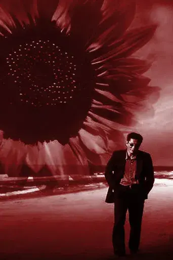 Hana-Bi: Flores de fuego - Poster