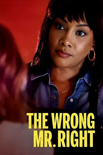 The Wrong Mr. Right - Poster