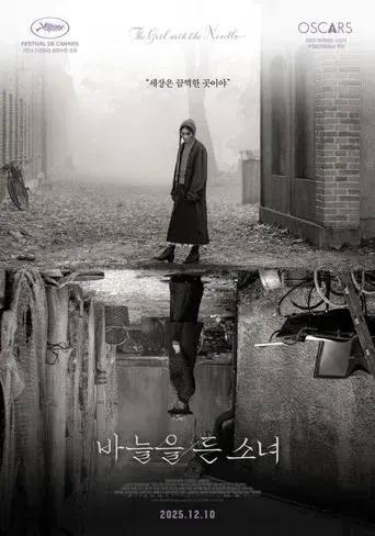 La chica de la aguja - Poster