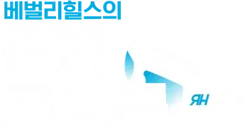 Mujeres ricas de Beverly Hills - Logo