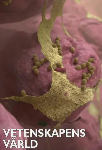 Vetenskapens värld - Poster