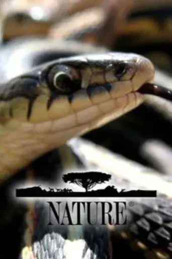 Nature - Poster