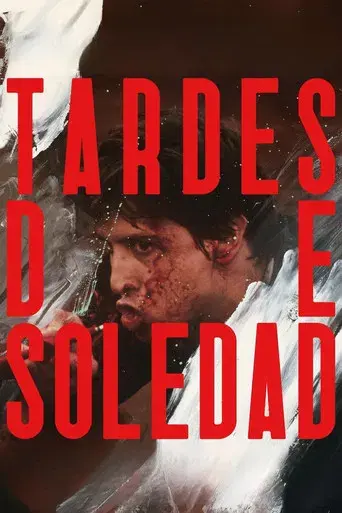 Tardes de soledad - Poster