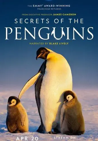 Los secretos de los pingüinos - Poster