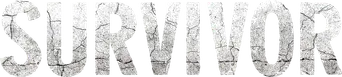 Survivor - Logo