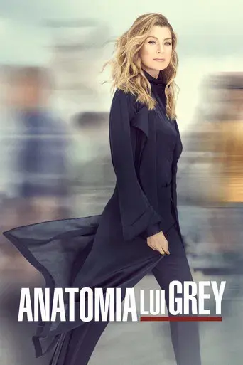 Anatomía de Grey - Poster