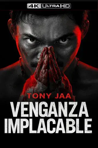 Venganza implacable - Poster