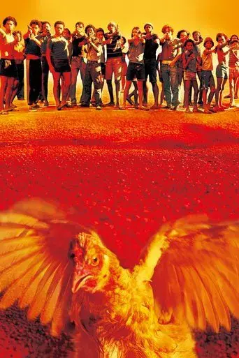 Ciudad de Dios - Poster