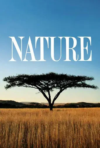 Nature - Poster