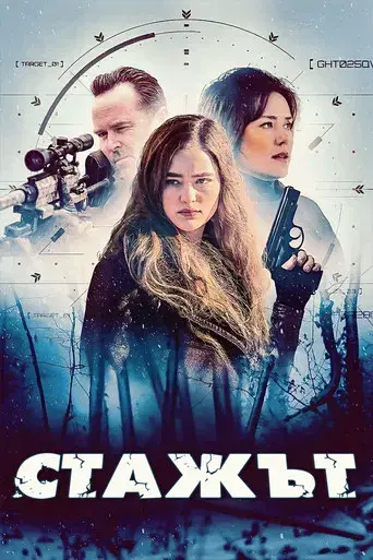 The Internship - Poster