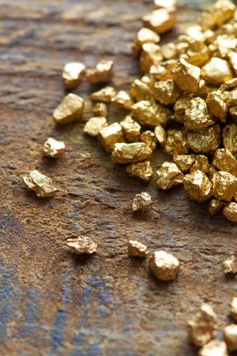 La fiebre del oro - Poster