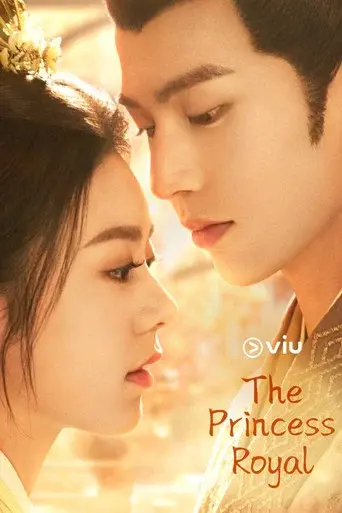 度华年 poster