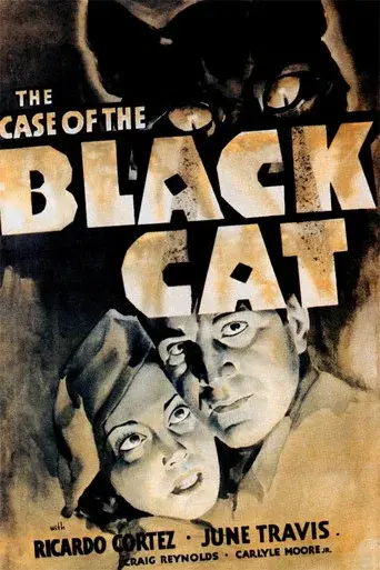 El caso del Gato Negro - Poster