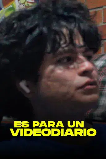 Es Para Un Videodiario - Poster