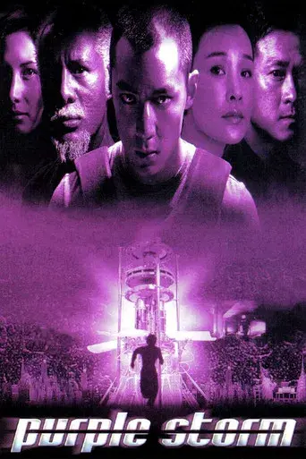 紫雨風暴 poster