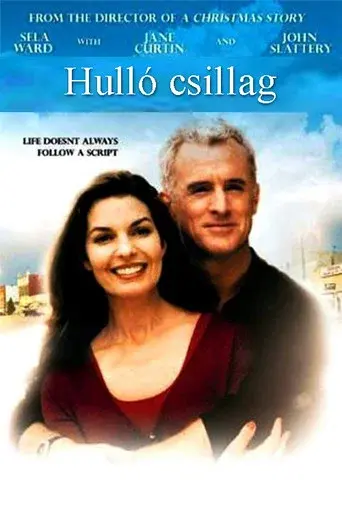 Catch a Falling Star - Poster