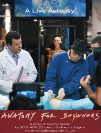 Anatomy for Beginners - Poster
