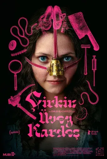 La hermanastra fea - Poster