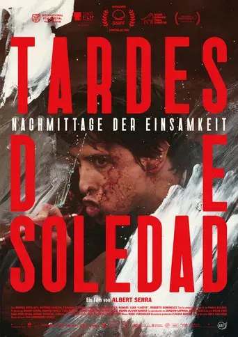 Tardes de soledad - Poster