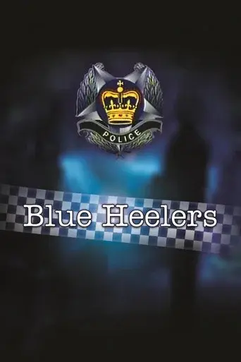 Blue Heelers - Poster
