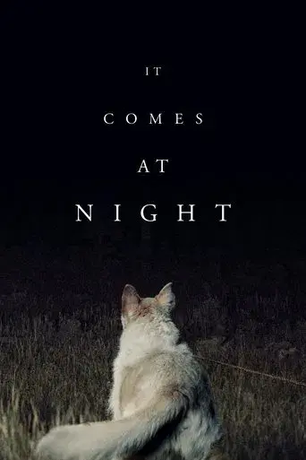 Llega de noche poster