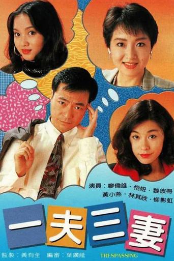 一夫三妻 poster