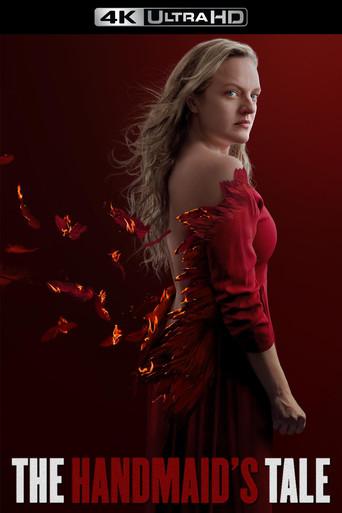 El cuento de la criada - Poster