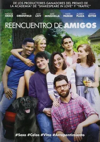 Reencuentro de amigos poster