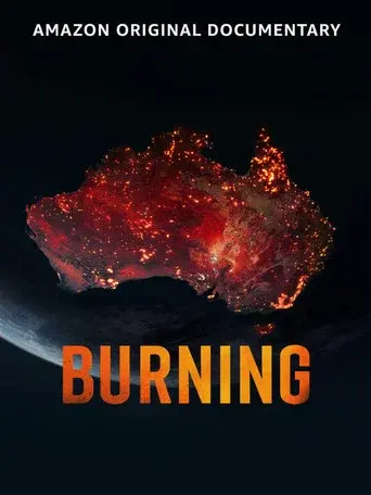 Burning - Poster