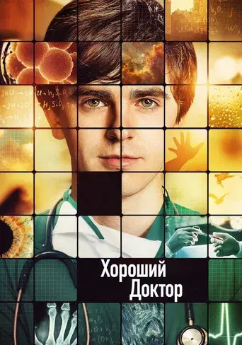 The Good Doctor - Poster