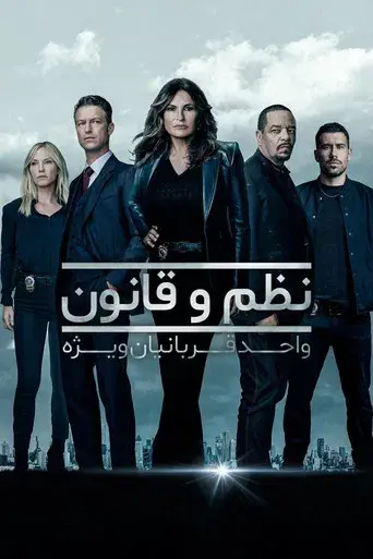 Ley y orden: Unidad de Víctimas Especiales - Poster