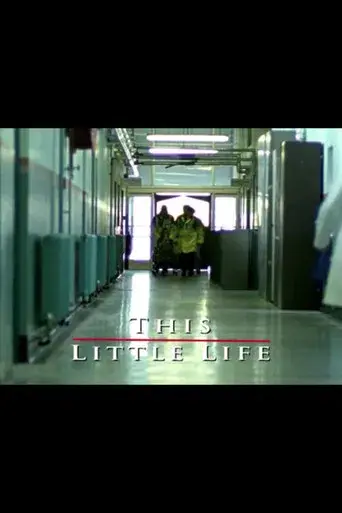 This Little Life - Poster
