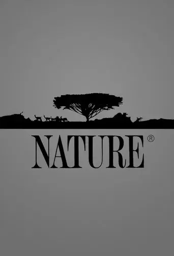 Nature - Poster