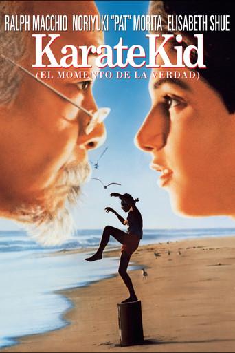 Karate Kid, el momento de la verdad - Poster