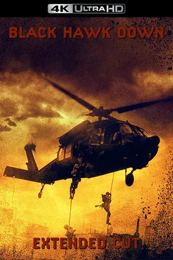 Black Hawk derribado - Poster