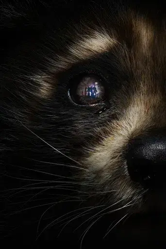 Guardianes de la Galaxia: Volumen 3 - Poster