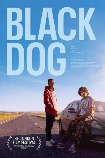 Black Dog - Poster