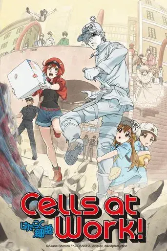 Cells at work! poster