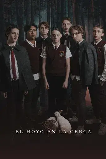 El hoyo en la cerca - Poster