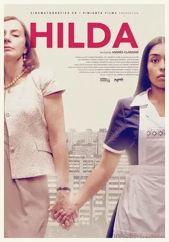 Nunca he tenido una Hilda - Poster